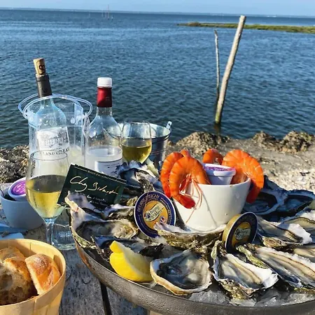 Fare Iti Les Viviers Cap-ferret, Avec Climatisation Apartment